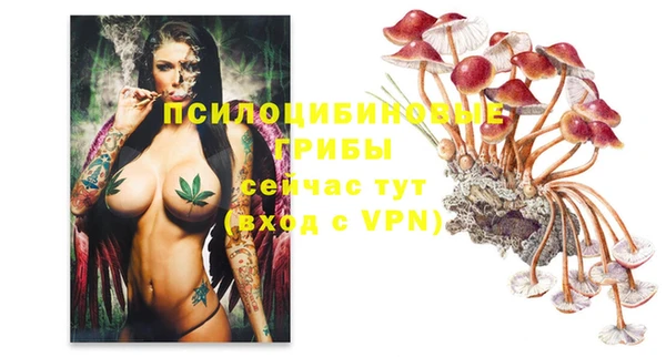 тгк Заволжье
