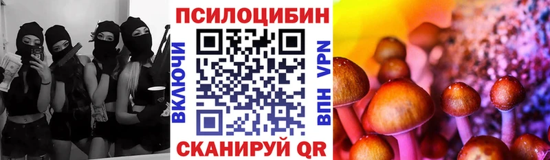 Псилоцибиновые грибы ЛСД  Купить где  Заводоуковск 